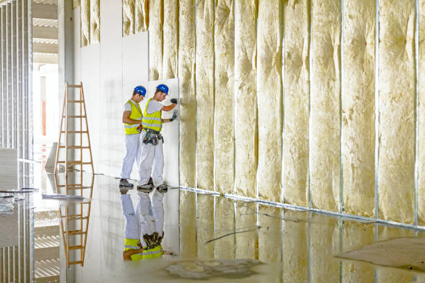 Best Insulation Installation Services in Petersburg, WV